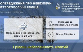Увага! На Житомирщині — сильний вітер: куди звертатися у разі виявлення обірваного проводу