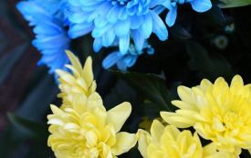 У Житомирі попрощалися із Захисником Геннадієм Білоусовим