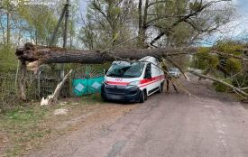 На Коростенщині через пориви вітру величезне дерево впало на автомобіль швидкої допомоги