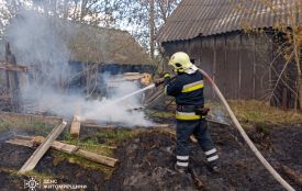 Протягом останньої доби на Житомирщині зафіксовано 12 пожеж сухої рослинності