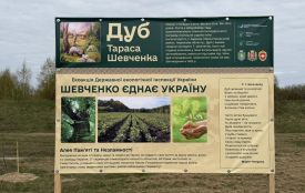 Шевченко єднає: на Житомирщині висадили дубову алею в межах екологічної ініціативи