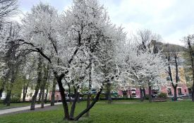 25 квітня: яке сьогодні свято, прикмети і заборони, прогноз погоди у Житомирі