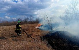 За добу рятувальники Житомирщини ліквідували 4 займання на відкритих територіях