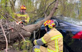 На Житомирщині рятувальники усувають наслідки негоди