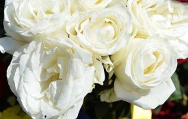 Під час виконання бойового завдання на Дніпропетровщині героїчно загинув житомирянин Олександр Мидляр