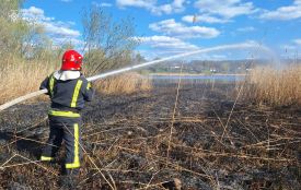 6 загорянь сухої рослинності ліквідували вогнеборці протягом доби