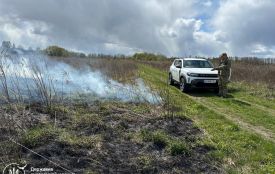 На Житомирщині за добу виявлено два факти спалювання сухої рослинності
