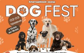 2-3 травня у Житомирі відбудеться DOGFEST
