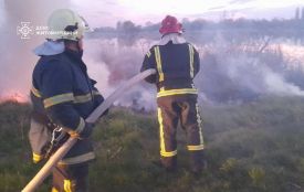 У Житомирі і Андрушівці рятувальники залучалися на гасіння пожеж сухостою