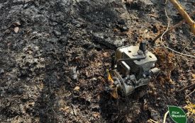 Через наслідки дронової атаки сталася лісова пожежа у Левківському лісництві: її загасили за кілька годин