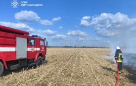 З приходом тепла на Житомирщині різко зросла кількість пожеж в екосистемах