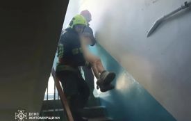 У Житомирі сьогодні фахівці ДСНС врятували жінку під час пожежі в триповерховому житловому будинку