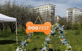 Понад 60 тисяч гривень зібрали для Центру захисту тварин під час фестивалю «DOGFEST»