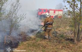 Пожежі сухої трави на Житомирщині охопили площу понад 12 га