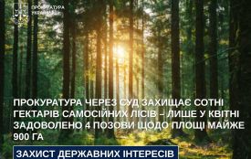 Прокуратура через суд захищає сотні гектарів самосійних лісів – лише у квітні задоволено 4 позови щодо площі майже 900 га
