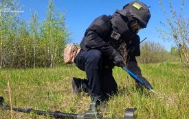 У лісі в Житомирському районі місцеві жителі виявили 6 вибухонебезпечних предметів