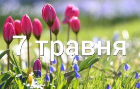 7 травня: все про цей день, яке церковне свято, іменини, традиції і погода у Житомирі