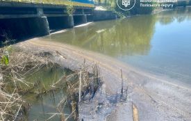 Екологи підтвердили масову загибель водних біоресурсів у річці Мика на Житомирщині