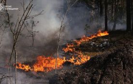 Масштабна пожежа у Чорнобильській зоні: що відомо про ситуацію та чи є загроза для Житомирщини
