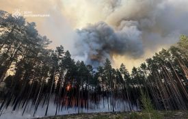 На Житомирщині триває ліквідація масштабної лісової пожежі