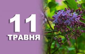 11 травня: яке сьогодні свято, все про цей день і погода у Житомирі