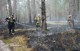 У Поліському природному заповіднику на Житомирщині триває ліквідація лісової пожежі