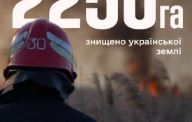 Антирейтинг за масштабами пожеж очолила Житомирщина