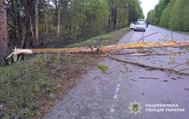 У Малинській громаді вночі на смерть розбився мотоцикліст