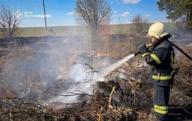У Коростені ліквідували пожежу на 1,5 гектара відкритої території