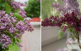 На Житомирщину йдуть дощі і грози