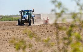 Житомирщина впевнено проводить посівну кампанію 2026 року: майже половину запланованих площ уже засіяно