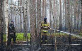 У Поліському природному заповіднику на Житомирщині рятувальники разом із лісівниками продовжують ліквідовувати масштабну лісову пожежу!