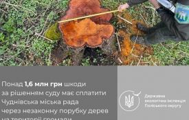 За рішенням суду Чуднівська міська рада має відшкодувати понад 1,6 млн грн шкоди за незаконну порубку дерев