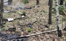 Після падіння уламків ворожого дрона у Словечанському надлісництві спалахнула лісова пожежа!