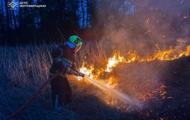 Вчора пожежі на відкритих територіях вирували у Ружині і Копищі