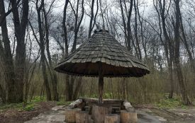 «Зелений театр» у Гідропарку — приклад якісного виконання простору в зеленій зоні
