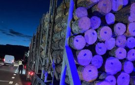 Минулого тижня на автодорогах області патрульні зафіксували 8 фактів порушення вимог перевезення лісопродукції