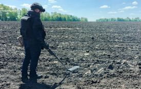 На Житомирщині піротехніки знешкодили мінометну міну та артилерійський снаряд часів Другої світової війни