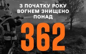 На Житомирщині з початку року вогнем знищено понад 362 га сухої трави