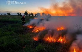 У Житомирському і Коростенському районах минулої доби 5 разів горіла суха трава