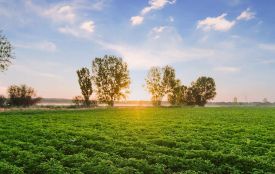 Якість продукції PepsiCo: контроль на всіх етапах виробництва (Новини компаній)