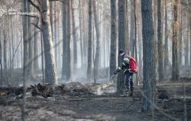 Пожежу на території Поліського природного заповідника ліквідовано