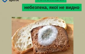Пліснява: небезпека, якої не видно