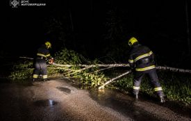 Повалені вітром дерева перекривали дороги — рятувальники Житомирщини двічі виїжджали на ліквідацію наслідків негоди