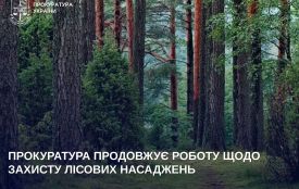 Прокуратура продовжує роботу щодо захисту лісових насаджень