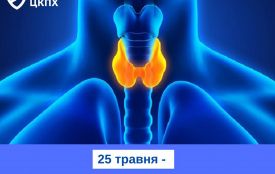 Щитоподібна залоза: маленький орган із великою відповідальністю