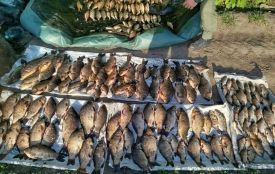 На Житомирщині виявлено грубе порушення правил рибальства зі збитками понад 471 тис. грн