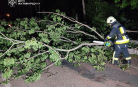 Рятувальники двічі впродовж доби прибирали повалені негодою дерева у Коростені та районі