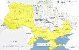 Увага! Завтра на Житомирщині оголошено штормове попередження через пориви вітру 15-20 м/с