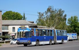 «Він шукає слабших»: Житомиром вільно розгулює серійний агресор, який нападає на жінок у тролейбусах
